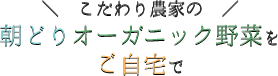 こだわり農家の朝どりオーガニック野菜をご自宅で